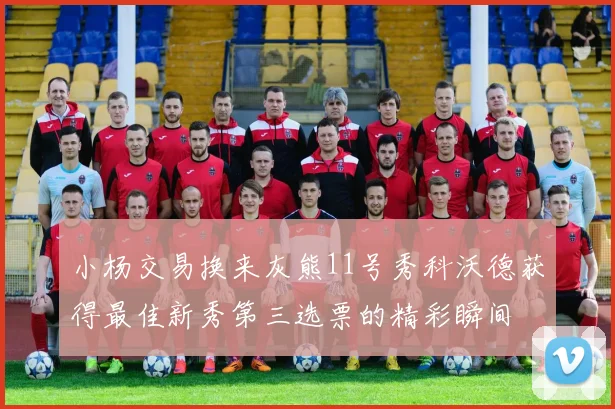 小杨交易换来灰熊11号秀科沃德获得最佳新秀第三选票的精彩瞬间