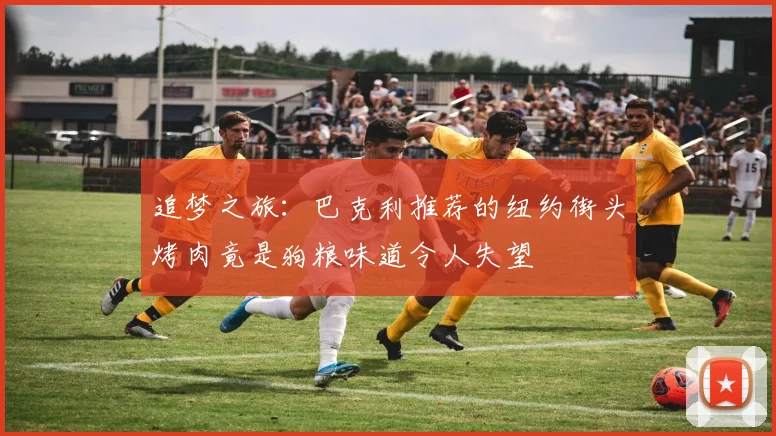 追梦之旅：巴克利推荐的纽约街头烤肉竟是狗粮味道令人失望