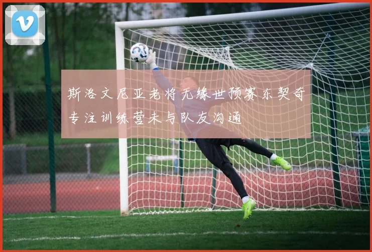 斯洛文尼亚老将无缘世预赛东契奇专注训练营未与队友沟通